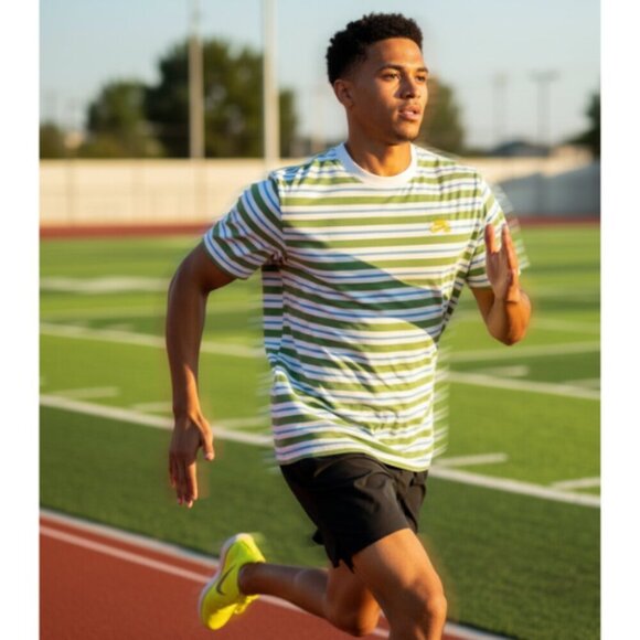 Nike SB Striped Skate T-Shirt (Sail/University Blue/Chlorophyll) - Picture 1 of 5